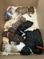 Facility photo