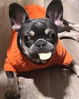 processed/06d5cfd7-fed0-4017-883c-d0b7473878b9/facility/0c5d4b48-edae-4cd5-8aac-014b8a498f55