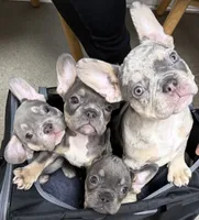 processed/06d5cfd7-fed0-4017-883c-d0b7473878b9/facility/101e2808-9ffe-4b98-9a8d-3a680979a6cd