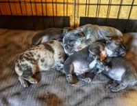 processed/06d5cfd7-fed0-4017-883c-d0b7473878b9/facility/1473977e-e60d-4e6f-b562-2f39b86666b6