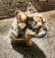 processed/06d5cfd7-fed0-4017-883c-d0b7473878b9/facility/18fc9631-d305-44ee-9f8c-84cd2a9a7923