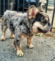 processed/06d5cfd7-fed0-4017-883c-d0b7473878b9/facility/1906d0be-e062-4680-99a9-7321a81ee457