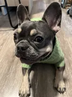 processed/06d5cfd7-fed0-4017-883c-d0b7473878b9/facility/2a9eaf5e-8b98-4351-8836-6e15606eecae