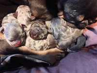 processed/06d5cfd7-fed0-4017-883c-d0b7473878b9/facility/651772ed-d9a7-4387-9f6a-8aca72f064f0