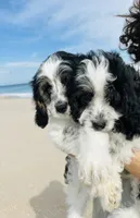 processed/06e91a4a-ee6d-4242-b0c1-90586df28812/listing/0d4878b3-d244-4a8f-8a23-34aab8314514/3173766a-846b-4c15-a434-203e0ec3890b