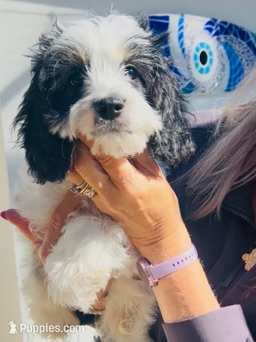 processed/06e91a4a-ee6d-4242-b0c1-90586df28812/listing/0d4878b3-d244-4a8f-8a23-34aab8314514/790f86eb-d59f-46b8-b2cc-cddba944d771