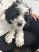 processed/06e91a4a-ee6d-4242-b0c1-90586df28812/listing/0d4878b3-d244-4a8f-8a23-34aab8314514/8224379f-3be3-4cf5-8a2a-fae2f080e19d