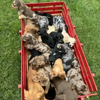 processed/06ebe8d9-2fc7-421a-a0d8-fd544fb59c39/facility/ee884d6d-10aa-49c9-8970-34521fcb216b