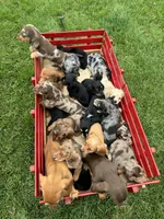 processed/06ebe8d9-2fc7-421a-a0d8-fd544fb59c39/facility/ee884d6d-10aa-49c9-8970-34521fcb216b