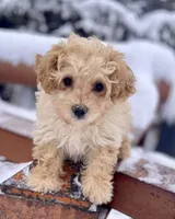 processed/06ed8e4e-e429-480d-8db4-d2d7536c2784/listing/20162554-a020-402e-b157-cedb80187aec/777b7318-e891-4263-8090-a2e2822b2d0d