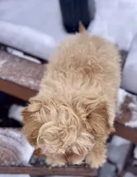 processed/06ed8e4e-e429-480d-8db4-d2d7536c2784/listing/20162554-a020-402e-b157-cedb80187aec/82a64b3a-c935-4cb2-8877-d74027b1fba9