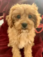 processed/06ed8e4e-e429-480d-8db4-d2d7536c2784/listing/9e75c6ff-0087-4bd4-97ae-8421edb55a9d/8a7e327c-fdec-4ef4-9468-315eed025c82