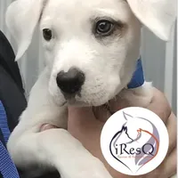 processed/06eeda78-32cd-4c01-bb55-c12c7669f612/facility/f589e6c7-7737-4704-a1a1-925ccff8cd63