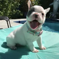 processed/06fad80b-5268-4e13-8673-0ccbf13f14ef/facility/16811ded-43b8-4c59-970b-026a4a177354