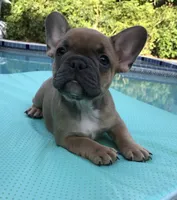 processed/06fad80b-5268-4e13-8673-0ccbf13f14ef/facility/273edfbe-3a5b-48dc-94e8-7fb0bbad25c5