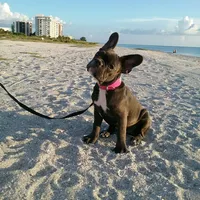 processed/06fad80b-5268-4e13-8673-0ccbf13f14ef/facility/37c06e53-80aa-4593-8437-ff585f3e1448