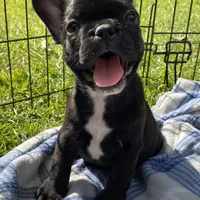 processed/06fad80b-5268-4e13-8673-0ccbf13f14ef/facility/c03c5bae-a644-4ff0-b4d8-4a19bc01f48b