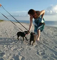 processed/06fad80b-5268-4e13-8673-0ccbf13f14ef/facility/c7e976e1-df18-4f2e-a40a-4ce1de34c8ec