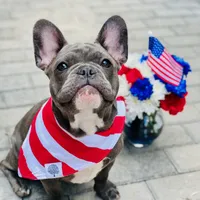 processed/06fad80b-5268-4e13-8673-0ccbf13f14ef/facility/f737cef9-c280-4e48-8e10-69a126927e70