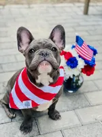 processed/06fad80b-5268-4e13-8673-0ccbf13f14ef/facility/f737cef9-c280-4e48-8e10-69a126927e70