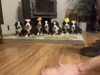 processed/070b58e8-98f7-4aa6-8d3d-fafe62968213/listing/4e33edcf-ce3b-490b-bd98-de0cb57b17bd/08799e5d-3256-4851-9bbc-87bd5b3b8860