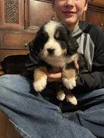 processed/070b58e8-98f7-4aa6-8d3d-fafe62968213/listing/4e33edcf-ce3b-490b-bd98-de0cb57b17bd/94050a17-d1b7-40fc-89ed-e688f09f61f8