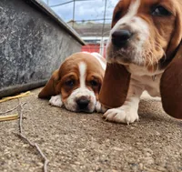 processed/070cd776-1c1c-417e-8b42-87b194b1bb77/facility/1079a0c8-6257-46d6-b4ab-06dbbd77077d