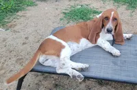 processed/070cd776-1c1c-417e-8b42-87b194b1bb77/facility/2c88ead6-a391-4f98-8f92-48cec3974df6