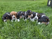 processed/070cd776-1c1c-417e-8b42-87b194b1bb77/facility/5928efce-449e-4ce6-8954-f3fb189a0d07