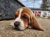 processed/070cd776-1c1c-417e-8b42-87b194b1bb77/facility/cea3536d-5579-4341-8fd6-12c827b3ddd5