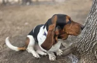 processed/070cd776-1c1c-417e-8b42-87b194b1bb77/facility/ea67d22c-92f0-4c29-91ec-a69f5cdd9c40