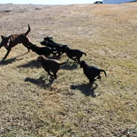 processed/071638ad-a701-4284-b529-558490184b04/facility/3248d723-4253-4ab2-938a-e13dd34a48e8