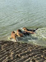 processed/071638ad-a701-4284-b529-558490184b04/facility/7c7e539d-684a-4f06-a08f-465fa7baf34e