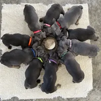 processed/071638ad-a701-4284-b529-558490184b04/facility/81ec034d-ccfe-4f23-980a-2b180ea3e665