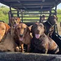 processed/071638ad-a701-4284-b529-558490184b04/facility/85ead4af-2294-4597-8be7-dd2fccd29813