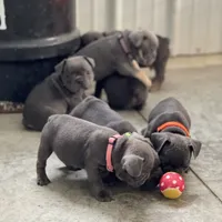 processed/071638ad-a701-4284-b529-558490184b04/facility/93b5563b-1298-4f5c-92fc-f8dadb56bfb5