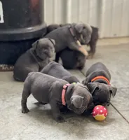 processed/071638ad-a701-4284-b529-558490184b04/facility/93b5563b-1298-4f5c-92fc-f8dadb56bfb5