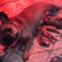 processed/071638ad-a701-4284-b529-558490184b04/facility/a004711b-a65c-400a-a934-81a6448e52a6