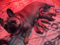 processed/071638ad-a701-4284-b529-558490184b04/facility/a004711b-a65c-400a-a934-81a6448e52a6