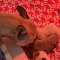 processed/071638ad-a701-4284-b529-558490184b04/facility/a53b212e-447b-42a1-8aa5-f3abfdb7786c