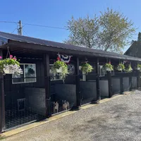 processed/071638ad-a701-4284-b529-558490184b04/facility/cbafbb28-7e3b-479b-a761-b8dfca42efbc