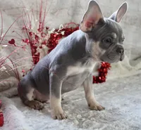 processed/071638ad-a701-4284-b529-558490184b04/listing/aa870e9b-c87f-44f6-a633-994395c90835/1432f10e-b272-4c31-94e4-801a88e75166