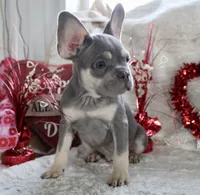 processed/071638ad-a701-4284-b529-558490184b04/listing/aa870e9b-c87f-44f6-a633-994395c90835/2dd8cc94-478e-4604-a021-febb72dd7508