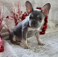 processed/071638ad-a701-4284-b529-558490184b04/listing/aa870e9b-c87f-44f6-a633-994395c90835/36e00ff0-88ce-4357-a2f3-15fa84d2af0d