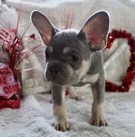 processed/071638ad-a701-4284-b529-558490184b04/listing/aa870e9b-c87f-44f6-a633-994395c90835/62efe445-790a-40e3-b824-7906914db633