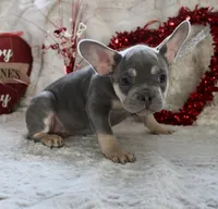 processed/071638ad-a701-4284-b529-558490184b04/listing/aa870e9b-c87f-44f6-a633-994395c90835/8d8674d2-9233-44aa-81be-206f710865d3