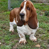 processed/07194fbc-e6a6-4f75-80b1-92c26c53662f/facility/56c45b5a-c6f6-40f1-8f45-4af952b2d501