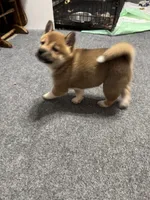 processed/071b24ef-6d31-42b0-8bc6-b464767dbc03/listing/37981566-2731-4950-b113-53a17cf447f7/14118c82-30be-4aec-830a-49dab91455f2