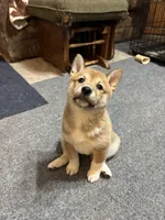 processed/071b24ef-6d31-42b0-8bc6-b464767dbc03/listing/9fa6a71f-1850-4c36-ab7d-6c8e82c5f328/185184d0-3cb4-4797-9277-a9ec09eb5af6