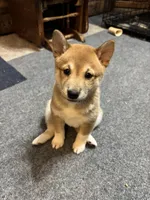 processed/071b24ef-6d31-42b0-8bc6-b464767dbc03/listing/9fa6a71f-1850-4c36-ab7d-6c8e82c5f328/3b068093-4ef6-4d5c-814e-165fcfcc7287